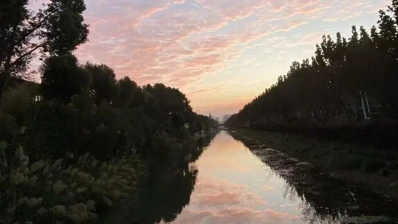 深圳有限公司营业执照代办：流程揭秘与注意事项